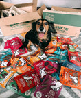 Load image into Gallery viewer, Lily's Kitchen Breaktime Biscuits Dog Treats