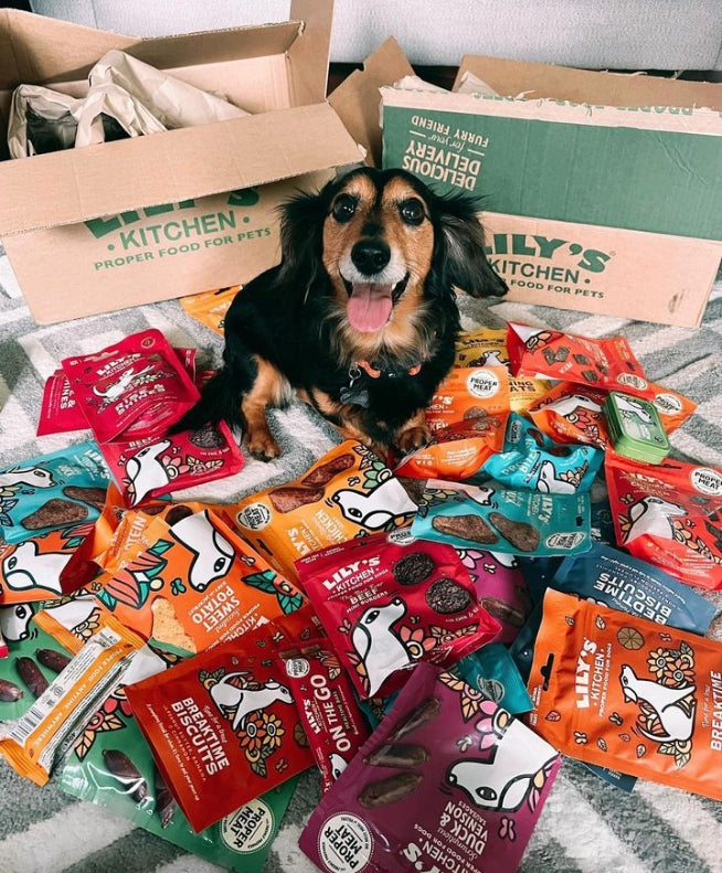 Lily's Kitchen Breaktime Biscuits Dog Treats