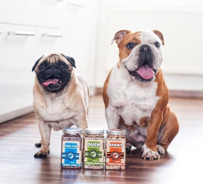 Kiwi Walker Freeze Dried Duck Cubes Pet Treats