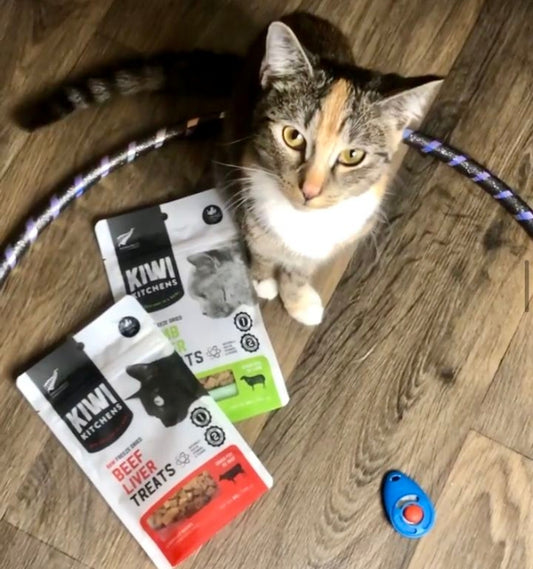 Kiwi Kitchens Raw Freeze Dried Lamb Liver Cat Treats