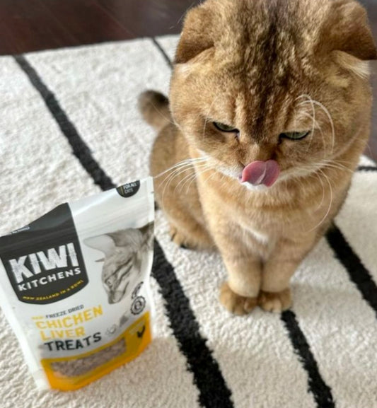 Kiwi Kitchens Raw Freeze Dried Chicken Liver Cat Treats