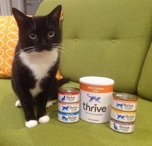 Chicken Breast and Chicken Liver Complete Wet Cat Food