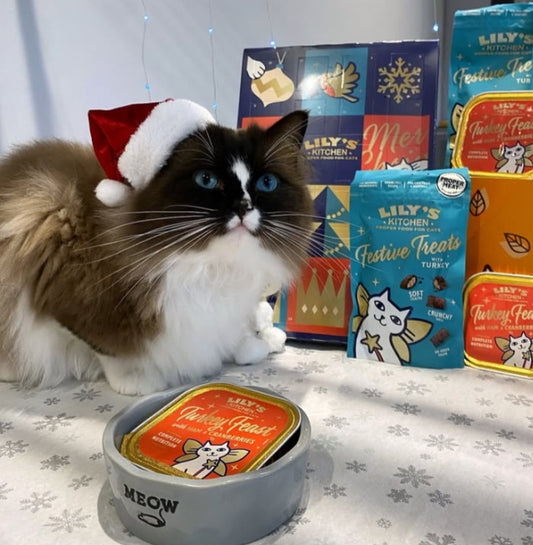 Festive Treats with Turkey for Cats