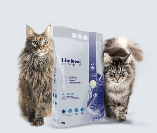Lindo Cat Advanced MultiCat