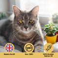 Load image into Gallery viewer, Skin & Coat Salmon Oil For Pets