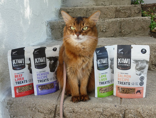 Kiwi Kitchens Raw Freeze Dried Venison Recipe Cat Treats