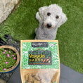 Load image into Gallery viewer, Veggie Bakes Dog Treats