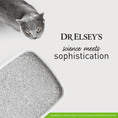 Load image into Gallery viewer, Precious Cat Touch of Outdoors Clumping Clay