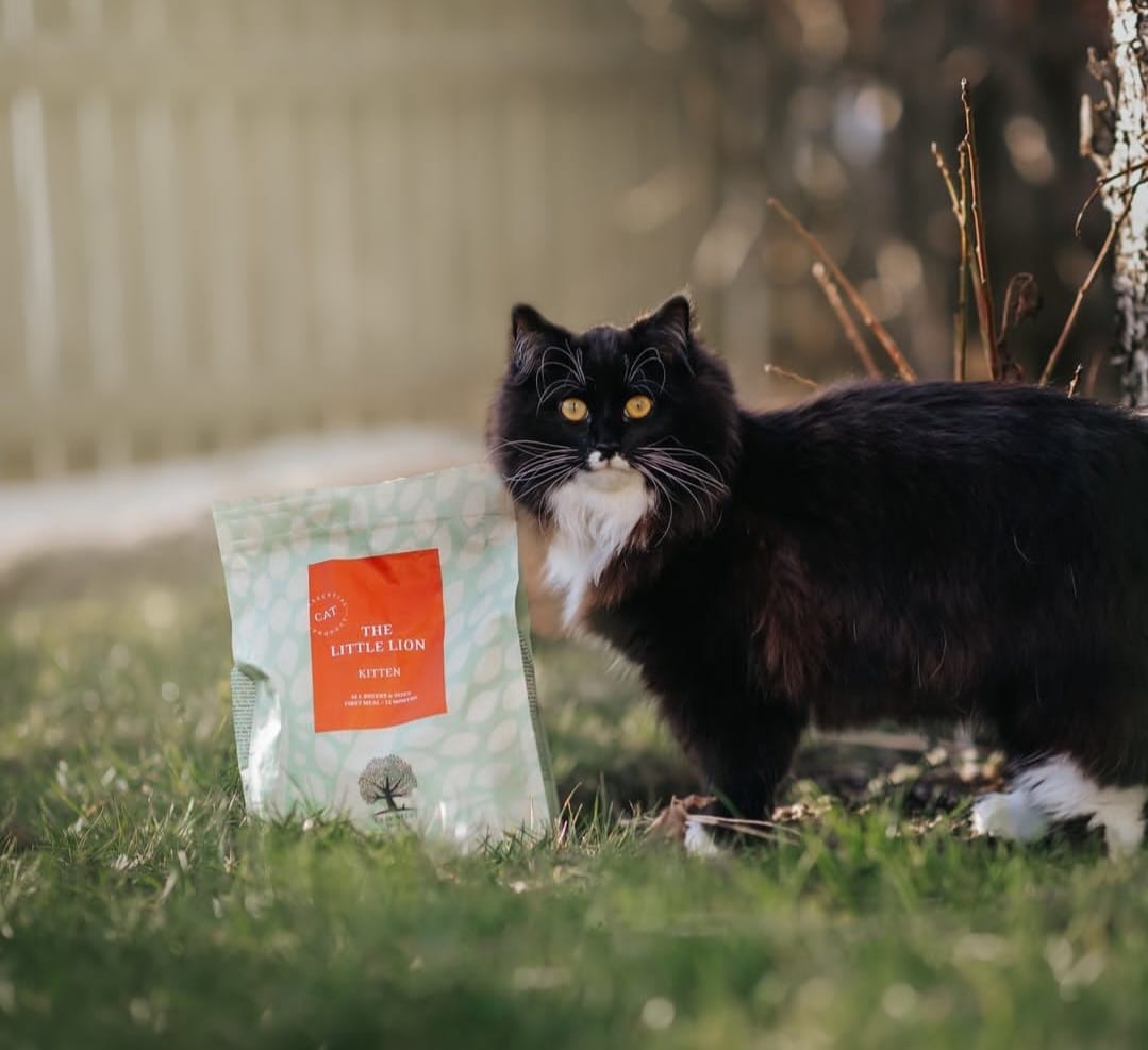 ESSENTIAL THE LITTLE LION FOR KITTENS