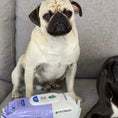 تحميل الصورة في عارض المعرض, Earthbath Tushy Wipes