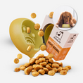 Load image into Gallery viewer, Our Dogs Life Slow Feeder Dog Bowl
