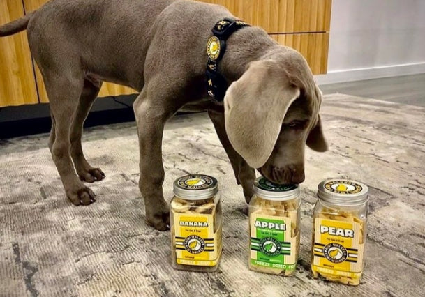 Freeze-dried chicken, spinach, and carrot treats for cats and dogs