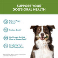 Load image into Gallery viewer, Daily Dental Toothbrush Medium Dog Chews