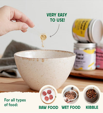 Joints of Steel Supplement for Dogs & Cats