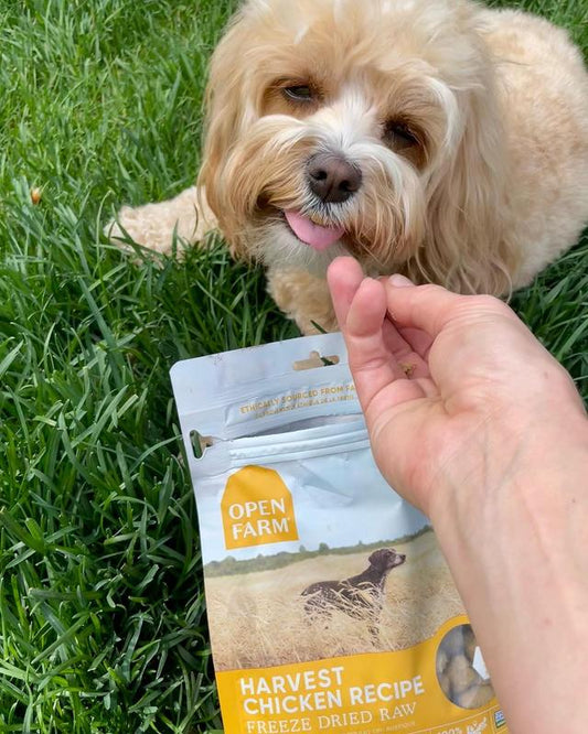 Freeze Dried Harvest Chicken Recipe Dry Dog Food