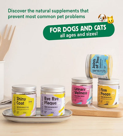 Shiny Coat Supplement for Dogs & Cats