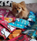 Load image into Gallery viewer, Dog Chew Sticks with Salmon Dog Treats