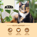 Load image into Gallery viewer, Homestead Harvest Dry Cat Food