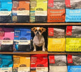 Load image into Gallery viewer, Adult Dog Recipe Dry Dog Food