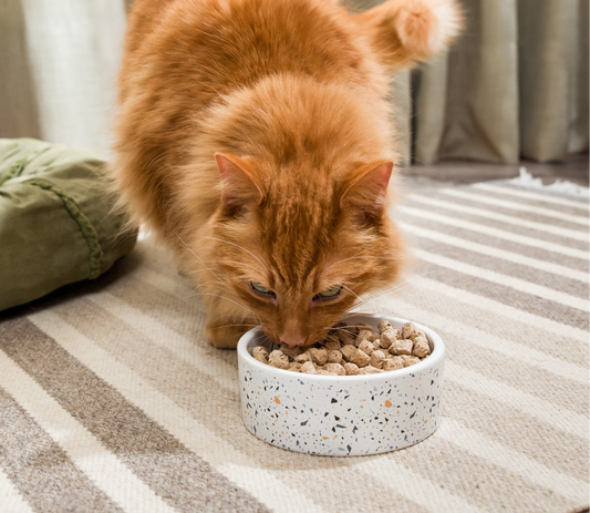 Chicken Morsels Freeze Dried Raw Cat Food