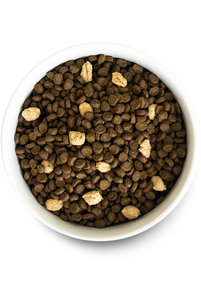 RawMix Wild Ocean Recipe Dry Cat Food