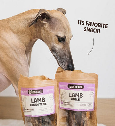 Natural Snack Lamb Gullet for Dogs