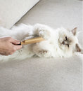 Load image into Gallery viewer, Cats April Wood Pin Brush for Cats