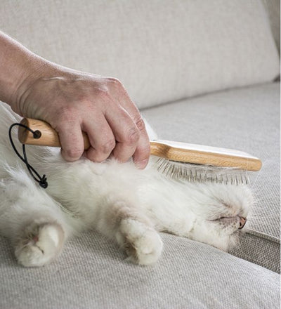 Cats April Wood Pin Brush for Cats