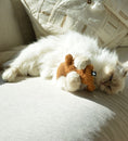 Load image into Gallery viewer, I Love Happy Cats Zoey Refillable Cat Kicking Cushion Cat Toy