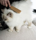 Load image into Gallery viewer, Cats April Wood Pin Brush for Cats