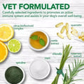 Load image into Gallery viewer, Immune Support Tablets