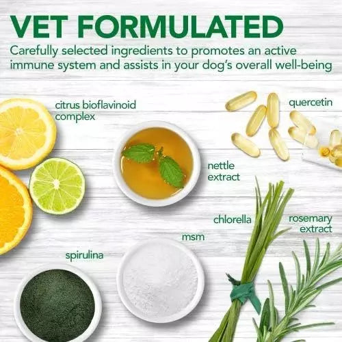 Immune Support Tablets