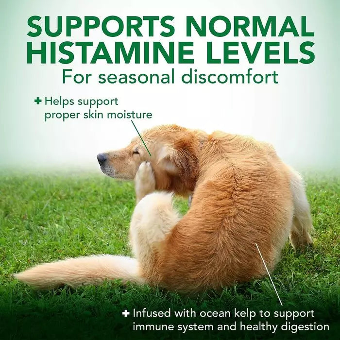 Immune Support Tablets