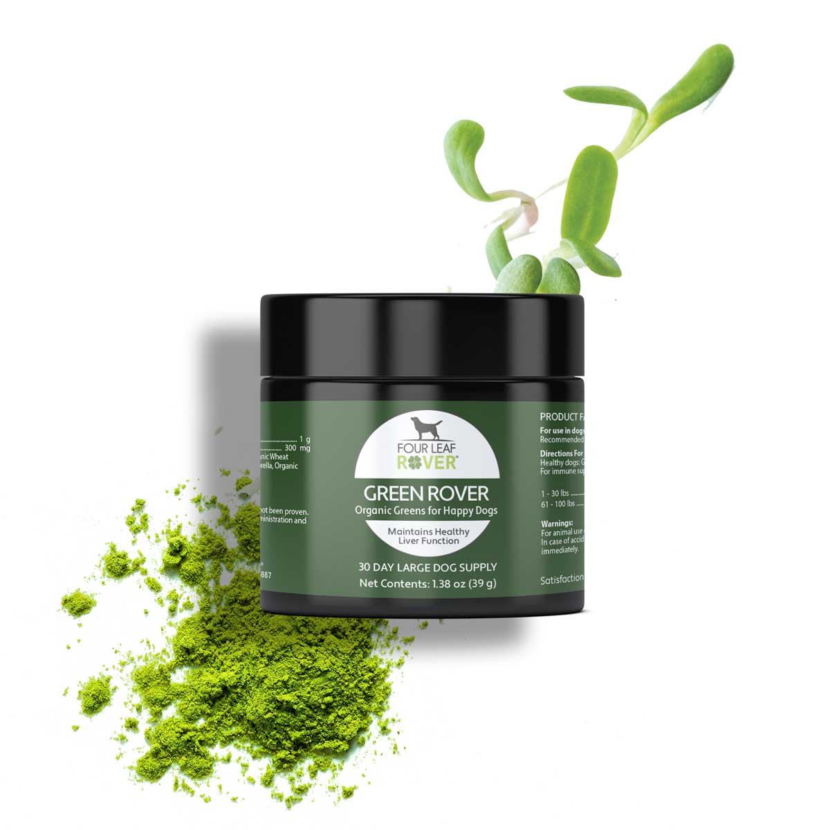 Green Rover - Green Ferment