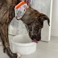 Load image into Gallery viewer, Marbowl Feeding Bowl