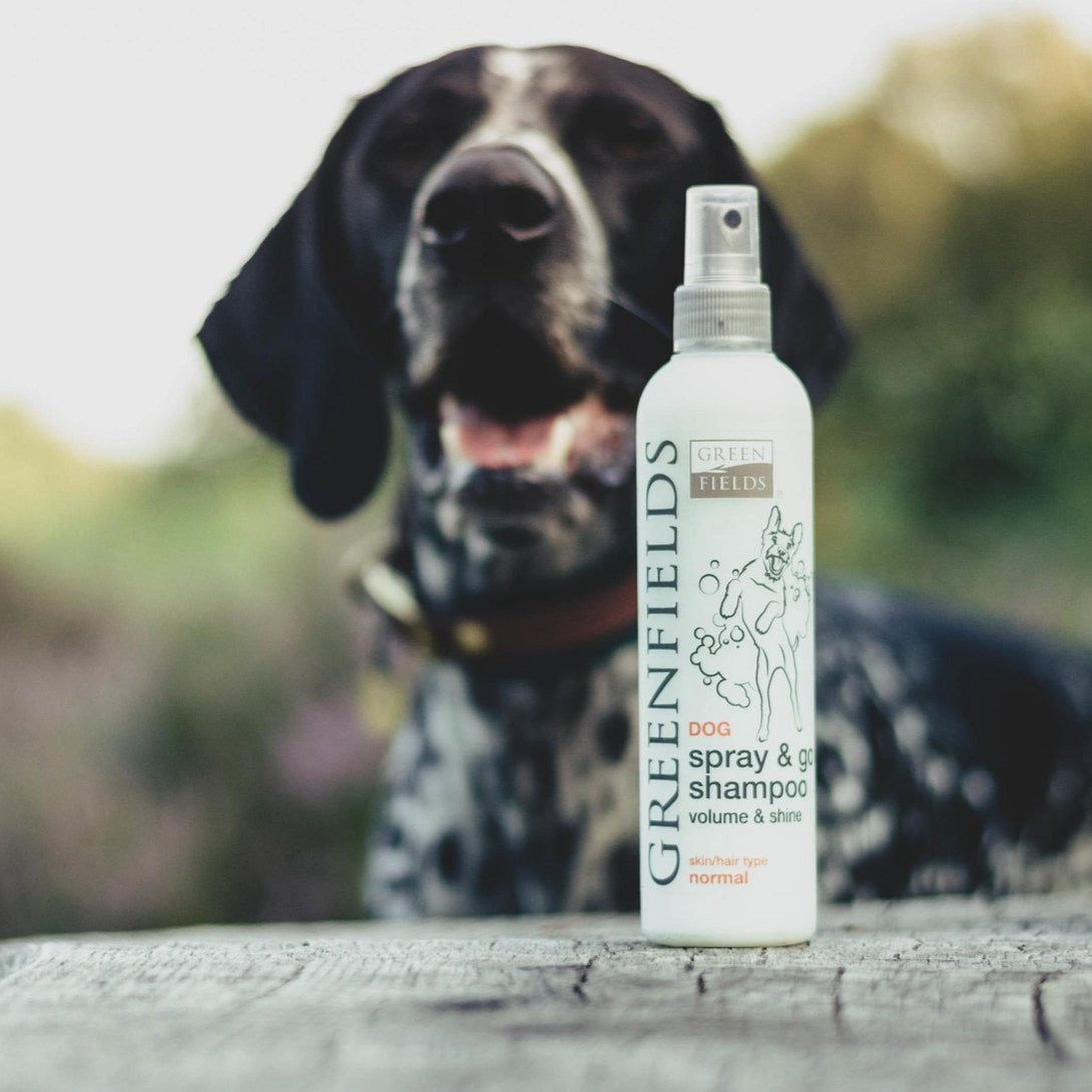 Spray & Go Shampoo