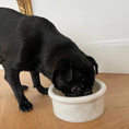 Load image into Gallery viewer, Marbowl Feeding Bowl