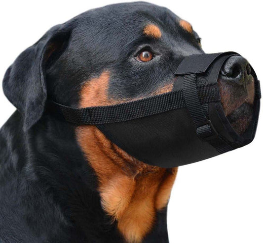 Muzzle Easy Comfort