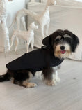 Load image into Gallery viewer, Pluvio Raincoat