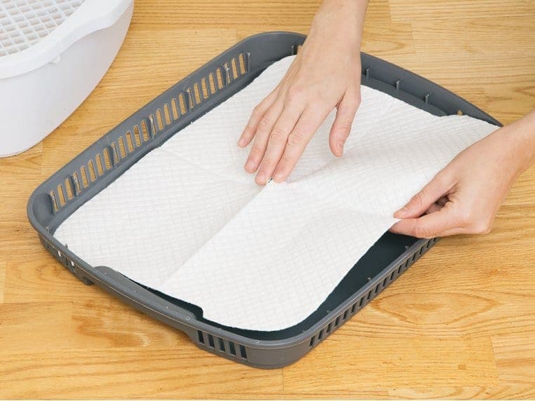 Dry Pad Replacement