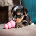 Load image into Gallery viewer, Puppy Toy
