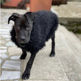 Load image into Gallery viewer, Fluffy Jumper Black