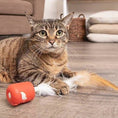 Load image into Gallery viewer, Foxy Frenzy Toy