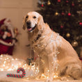 Load image into Gallery viewer, Holiday Cane Rope Braid Chew Toys for Dogs