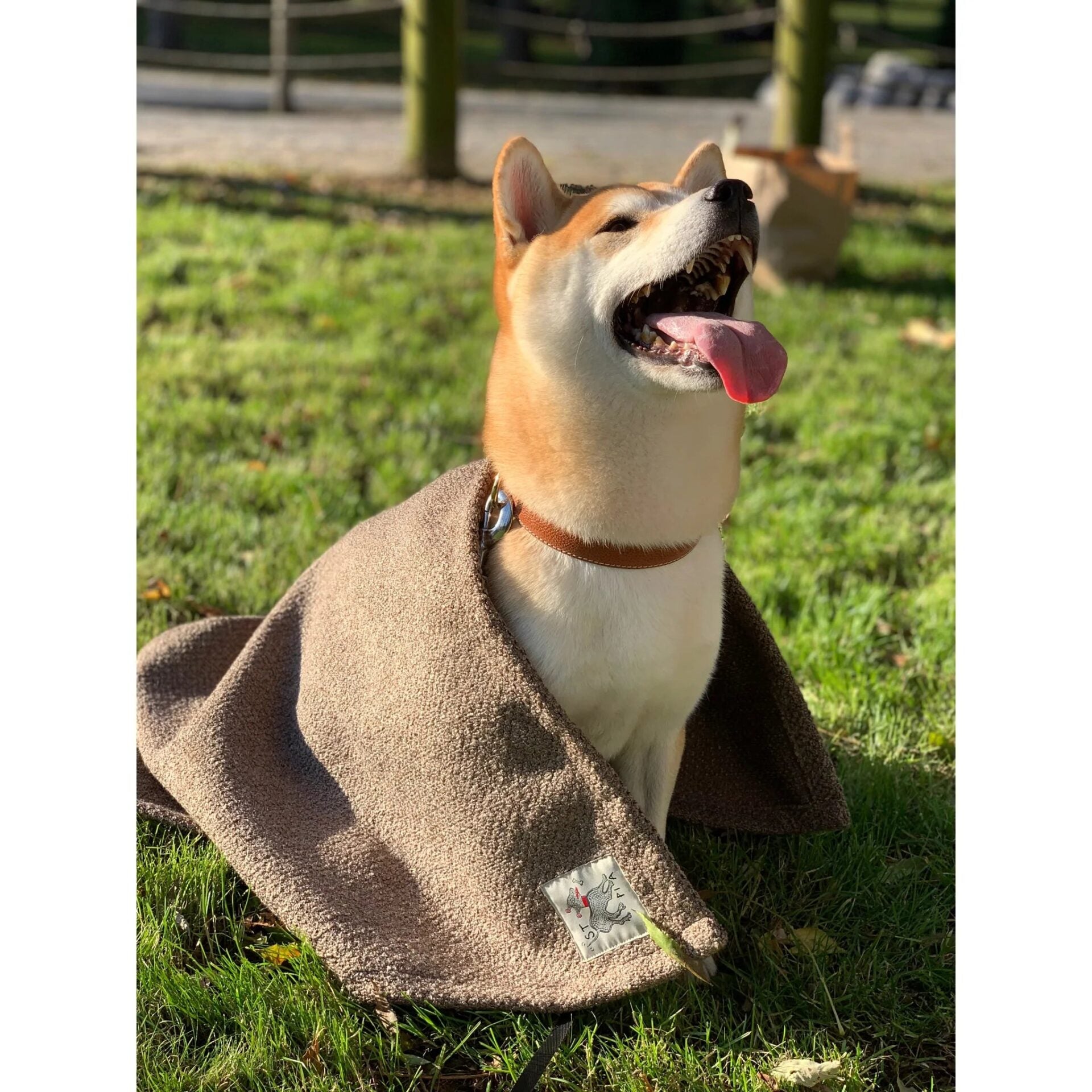 Sandy Blankie