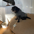 Load image into Gallery viewer, Budo Dog Bed