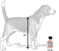 Load image into Gallery viewer, Koko Chewnel Noir Pawfum Dog Toy