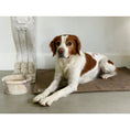 Load image into Gallery viewer, Sandy Blankie