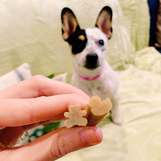 Puppy Dental Chews - XS/S