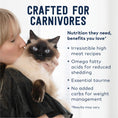 Load image into Gallery viewer, Air-Dried Venison Cat Recipe